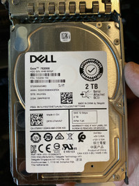 Dell Exos 7E2000 2TB