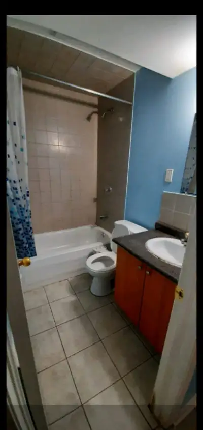 Basement for Rent