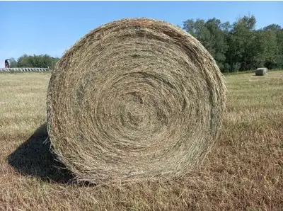 Hay for Sale, View more