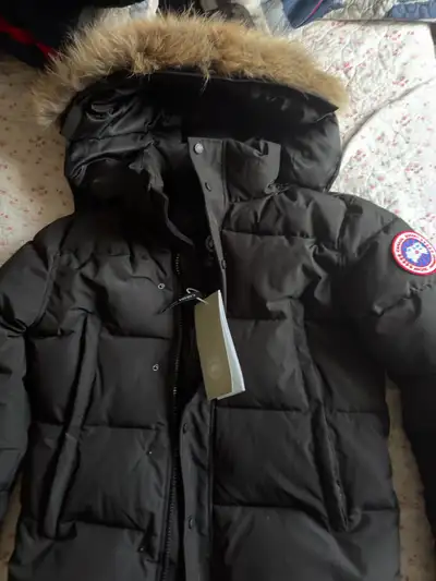 canada goose, View more