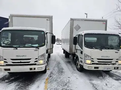 ARDI'S MOVING SERVICES 613921-1000, View more