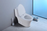 Dual flush Toilet