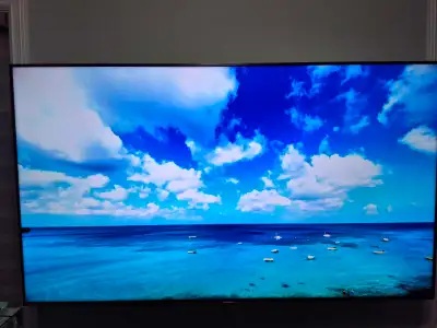 Sony 75" 4K TV, View more