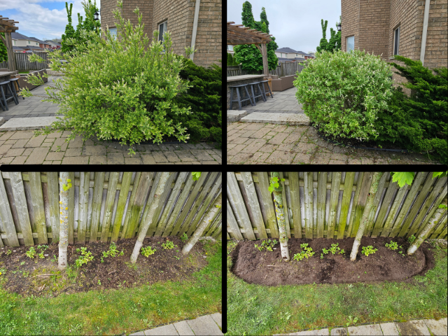 Reliable & Affordable Landscaping & Gardening - Fall Cleanup in Other in Hamilton - Image 11