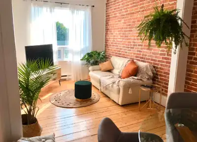 Magnifique 5 ½ avec cachet au 3ème d'un triplex . Centre-ville
