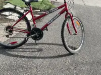 Super cycle bike size 26