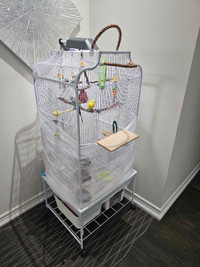 Large birdcage with 4 parakeets and accessories 