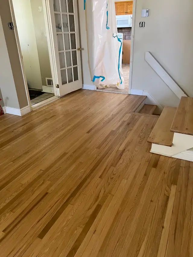 Sanding and varnishing of floors62866660520195123