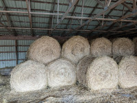 First cut hay for sale