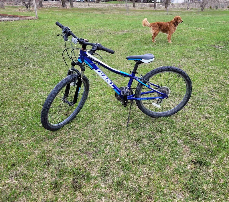 Giant Hardtail Mountain Bike XTC Jr 24" Mountain Winnipeg Kijiji