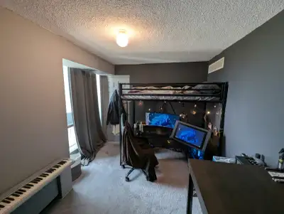 Renting the den in a two-bedroom apartment. It is ideal for a student or working professional lookin...