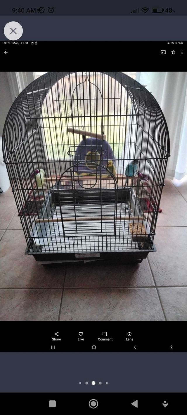 Birdcage with a pair of budgies and food  in Birds for Rehoming in Oakville / Halton Region - Image 4