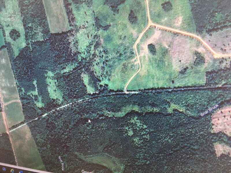 Lease 1 Acre Camp Lots Upper River John/Wally Mingo Road Land for