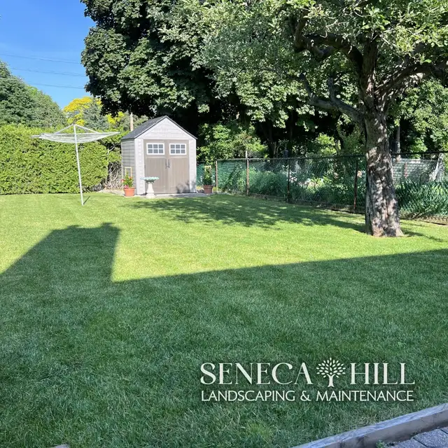 Professional Lawn Maintenance Plans | SenecaHill Landscaping in Lawn, Tree Maintenance & Eavestrough in City of Toronto - Image 7