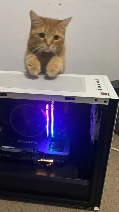 GAMING PC - Ryzen 5600X, RTX 3060, 1TB SSD, 16gb RAM, View more
