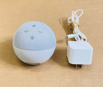 Amazon Echo Dot 4th Gen Smart Speaker Alexa WiFi White B7W64E With Cable White - Works Great