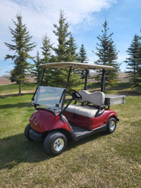 2014 Yamaha Drive EFI GAS golf cart