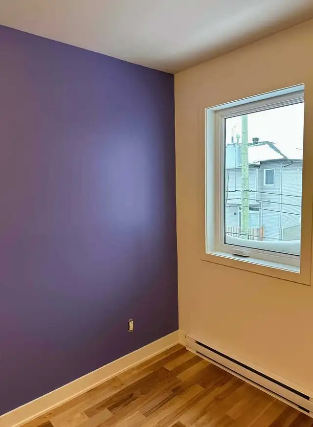 Residential Painter578762024933795847