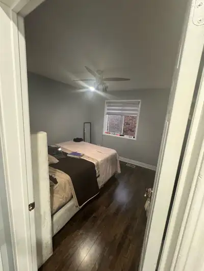 room for rent