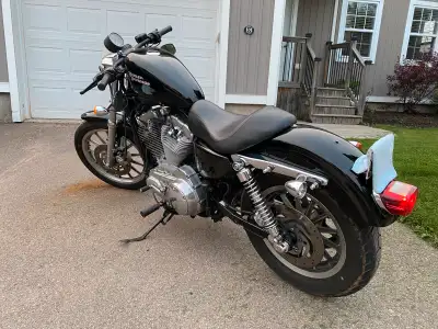 Sportster for sale. 35405 km. Runs and drives great. EFI so hit the starter and it starts right up....
