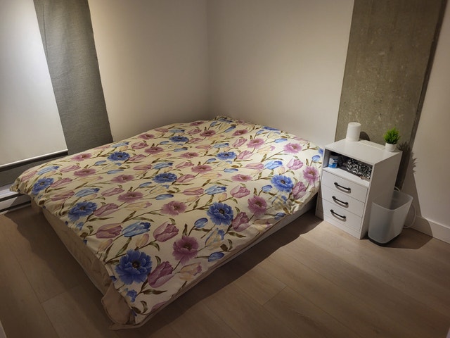 Beautiful room in condo / Belle chambre comfortable à louer — photo 1