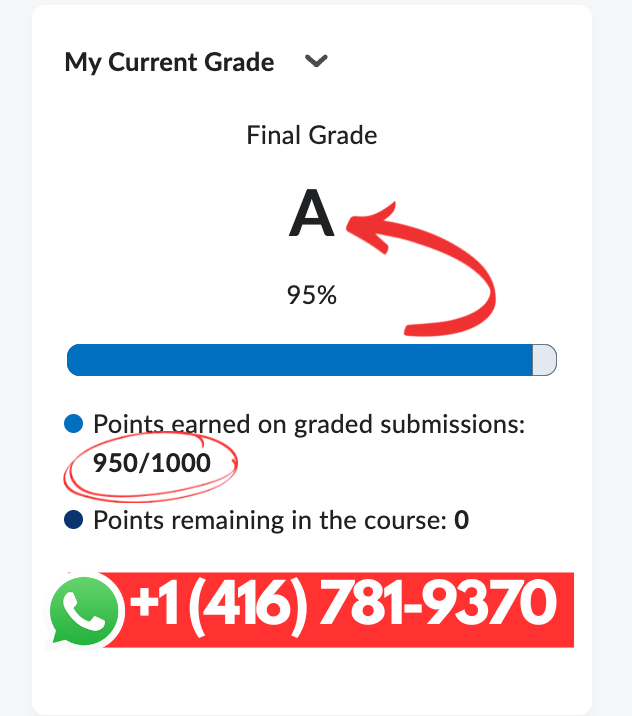 ASSIGNMENT HELP | HOMEWORK HELP | FULL COURSES HELP | TVO ILC565170184201195524