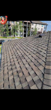 Roofing Repairs and Gutter Cleaning Services. 