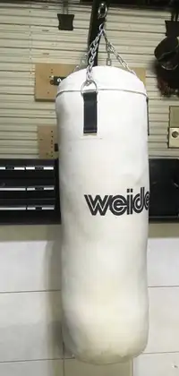Punching/Boxing Bag including wall mounted support