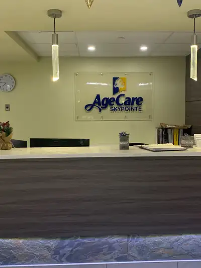 Senior Support Companions Wanted, View more