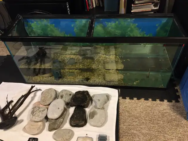 AQUARIUM STUFF FOR SALE ROCKS TANKS ETC - Pickering  in Fish for Rehoming in City of Toronto - Image 6