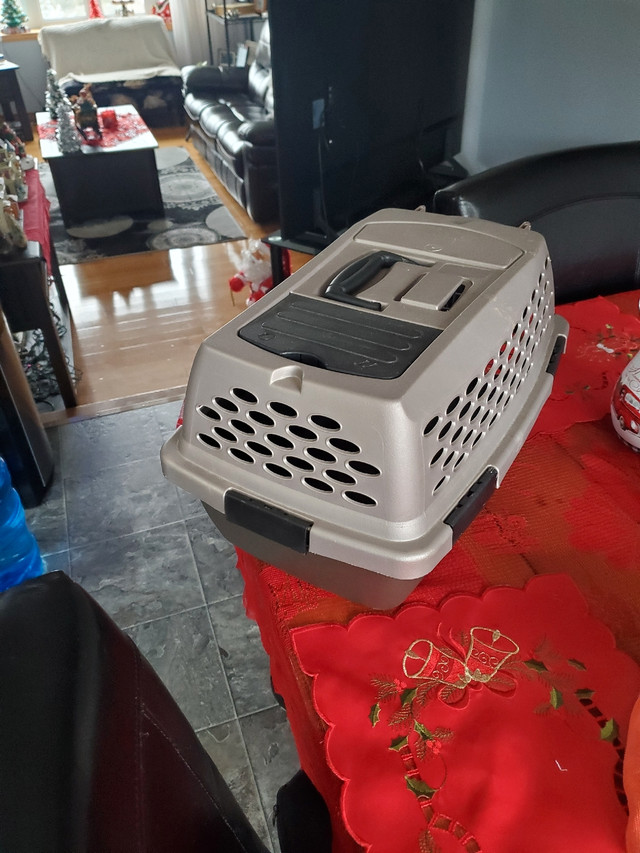 Tea cup puppy crate!  in Accessories in Kawartha Lakes - Image 3