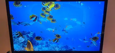 LG 55" TV, used but works perfectly, View more