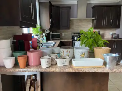 Plusieurs pots. Peuvent être vendus séparément. Prix négociable.