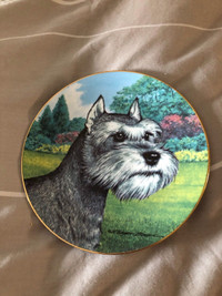 Schnauzer Collector Plate