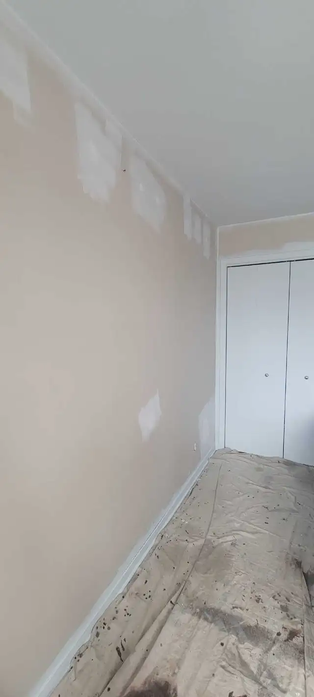 Residential Painter578762024933795843