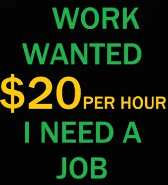WORK WANTED - I NEED A JOB, View more