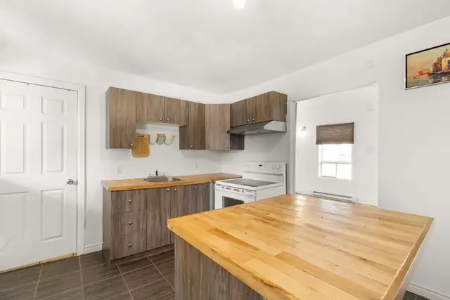 4 1/2 Ste-Élisabeth Street, 3R