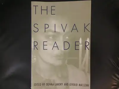 The spivak reader, like new condition, View more
