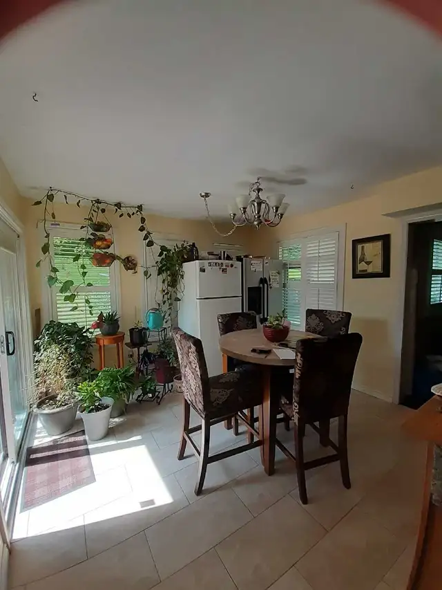 Room available for rent in four bedroom house  in Room Rentals & Roommates in Peterborough - Image 10