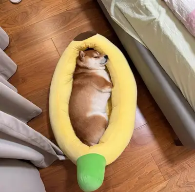 Banana Bed, View more
