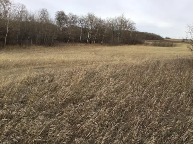 Acreage land for sale in Land for Sale in Saskatoon - Image 7