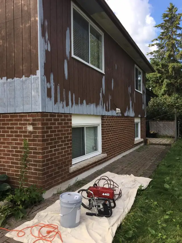 PROFESSIONAL PAINTER553848940780605445