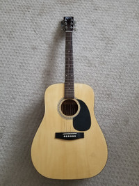 Robson AG-PK acoustic guitar
