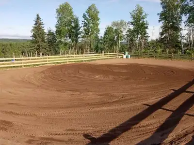 horse riding lessons, View more