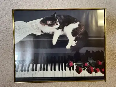 Framed print of cat on piano with red roses, View more