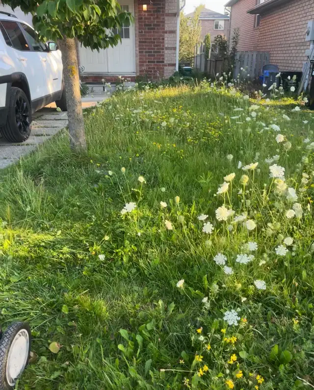 lawnmowing service
