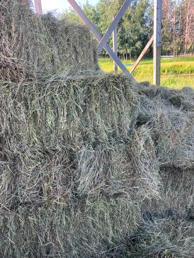I got roughly 120 to 140 square bales of hay for sale Mostly grasses with some alfalfa and clover Mi...