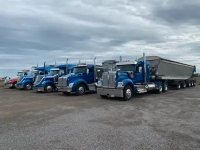 AZ Live Bottom Driver, View more