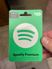 Spotify Premium 1 year