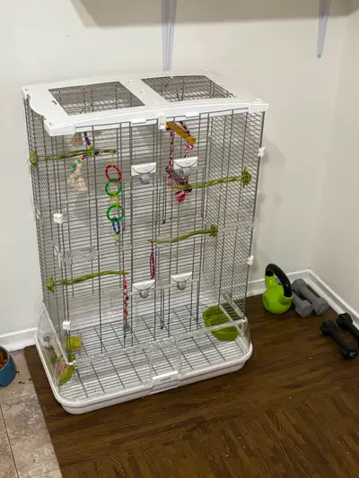 Cage oiseaux avec deux perruches, View more
